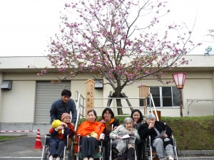 今年の華　紅桜の前で