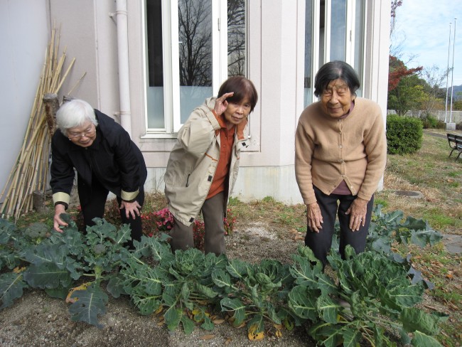 日当たりのええところはすくすく育つ