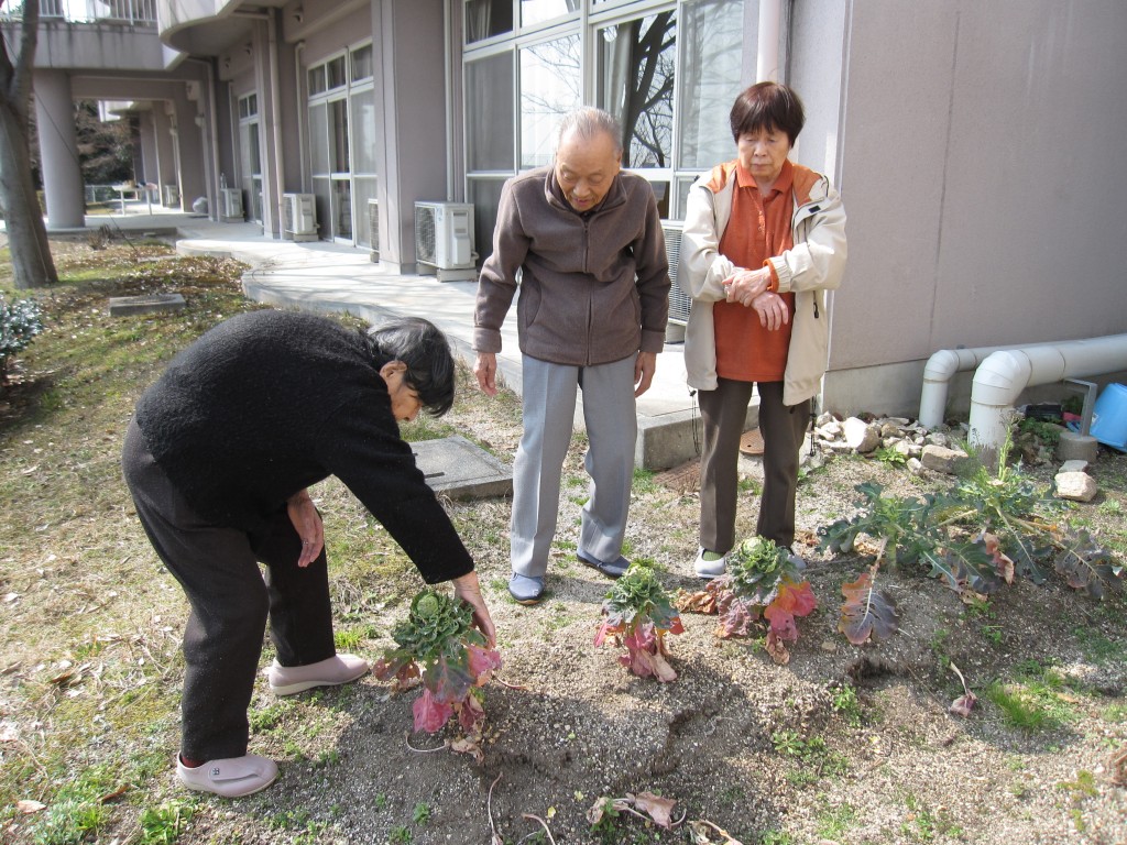 よいせよいせと春を掘る